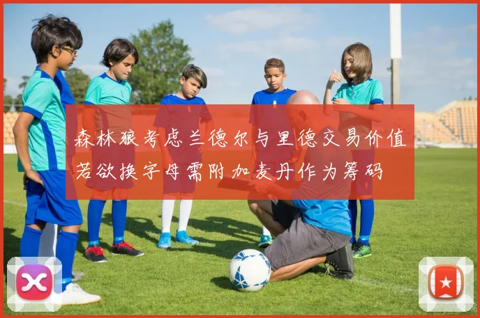 森林狼考虑兰德尔与里德交易价值若欲换字母需附加麦丹作为筹码