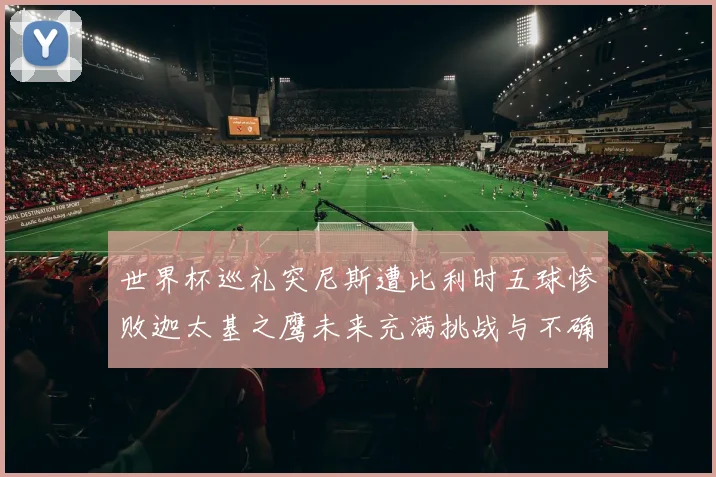 世界杯巡礼突尼斯遭比利时五球惨败迦太基之鹰未来充满挑战与不确定性