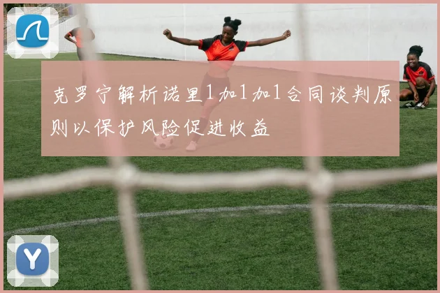 克罗宁解析诺里1加1加1合同谈判原则以保护风险促进收益