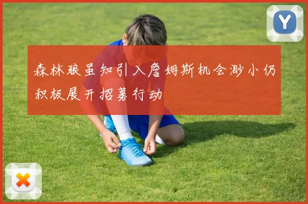 森林狼虽知引入詹姆斯机会渺小仍积极展开招募行动